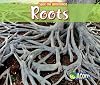 Roots (Acorn: Spot the Difference)