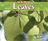 Leaves (Acorn: Spot the Difference)