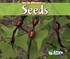 Seeds (Acorn: Spot the Difference)