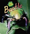 Beetle (Heinemann First Library: Bug Books)
