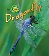Dragonfly (Bug Books)