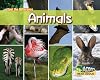 Animals (Acorn Read-Aloud: Spot the Difference)