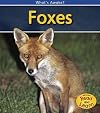 Foxes (Read and Learn: What's Awake?)