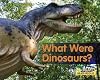 What Were Dinosaurs? (Acorn Read-Aloud: All About Dinosaurs)