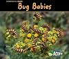 Bug Babies (Acorn: Comparing Bugs)