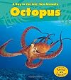 Octopus (A Day in the Life: Sea Animals)