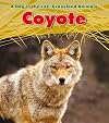 Coyote (A Day in the Life: Grassland Animals)