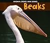 Beaks (Acorn: Animal Spikes and Spines)