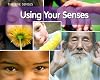 Using Your Senses (Acorn Plus: The Five Senses)