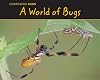 A World of Bugs (Acorn: Comparing Bugs)