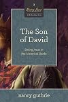 The Son of David (A 10-week Bible Study): Seeing Jesus in the Historical Books (Volume 3)
