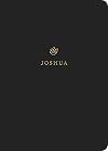Joshua (ESV)