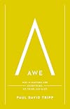 Awe: Why It Matters for Everything We Think, Say, and Do