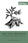 The New Creation and the Storyline of Scripture (Short Studies in Biblical Theology)