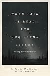 When Pain Is Real and God Seems Silent: Finding Hope in the Psalms