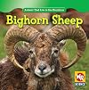 Bighorn Sheep (Animals That Live in the Mountains)