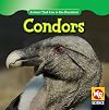 Condors (Animals That Live in the Mountains)
