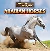 Arabian Horses (Horsing Around)