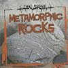 Metamorphic Rocks (That Rocks!)