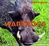 Warthogs (Safari Animals)