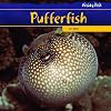 Pufferfish (Freaky Fish)