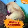 Albino Animals (Crazy Nature)