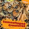 Camouflaged Creatures (Crazy Nature)