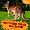 Animals With Pockets (Crazy Nature)