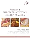 Netter's surgical anatomy and approaches