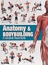 Anatomy & Bodybuilding: A Complete Visual Guide