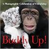 Buddy Up!