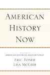 American History Now (Critical Perspectives On The Past)
