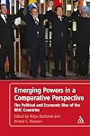 Emerging powers in a comparative perspective : the political and economic rise of the BRIC countries