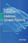 Inhibitory Synaptic Plasticity