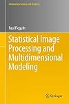 Statistical Image Processing and Multidimensional Modeling