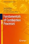 Fundamentals of Combustion Processes (Mechanical Engineering Series)