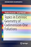 Topics in extrinsic geometry of codimension-one foliations