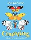 Counting: A Bugs Pop-up Concept Book (Bugs Pop-Up Concept Books)