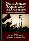 North African societies after the Arab spring : between democracy and islamic awakening