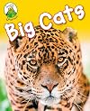 Big Cats (Leapfrog Learners)