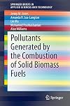 Pollutants Generated by the Combustion of Solid Biomass Fuels (SpringerBriefs in Applied Sciences and Technology)