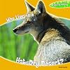 Who Lives in a Hot, Dry Desert? (Exploring Habitats)