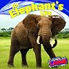 An Elephant's Life (Living Large)