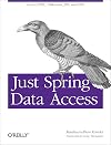 Just Spring Data Access