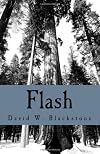 Flash: collected short fiction