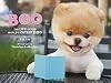 Boo: The Life of the World's Cutest Dog (Halloween Books for Kids, Halloween Books for Toddlers, Cute Halloween Stories)