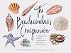 The Beachcomber's Companion: An Illustrated Guide to Collecting and Identifying Beach Treasures (Watercolor Seashell and Shell Collecting Book, Beach Lover Gift)