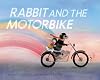 Rabbit and the Motorbike