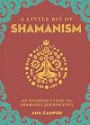 A Little Bit of Shamanism: An Introduction to Shamanic Journeying (Volume 16) (Little Bit Series)