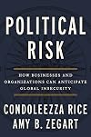 Political Risk: How Businesses and Organizations Can Anticipate Global Insecurity